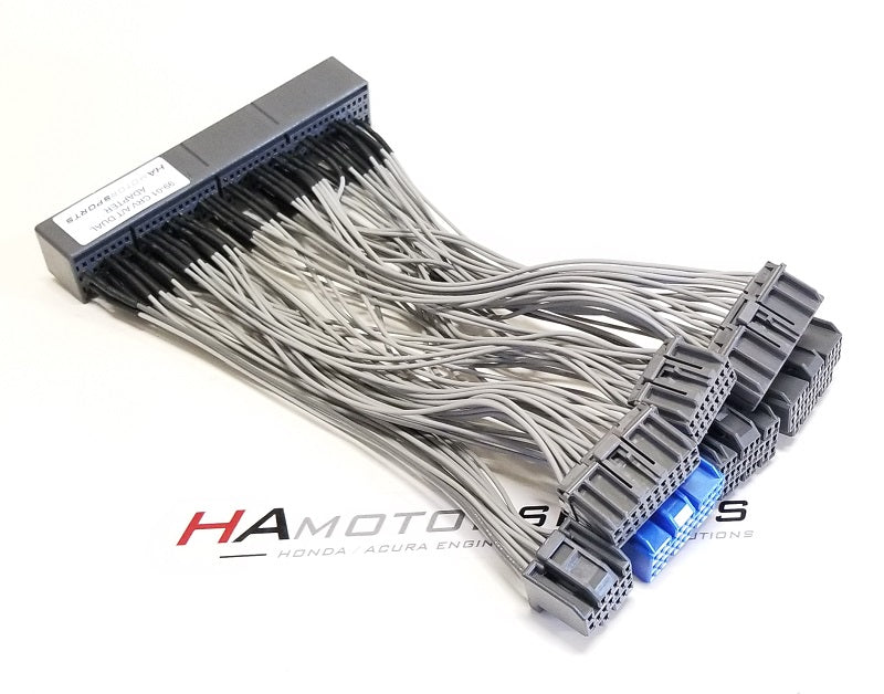 OBD2B Auto to OBD1 Auto Dual Adapter Harness – HA Motorsports