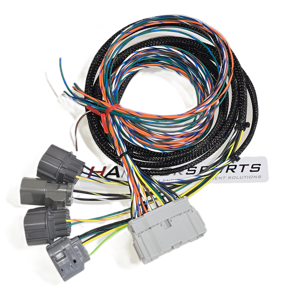 Engine and Chassis Wire Harnesses
