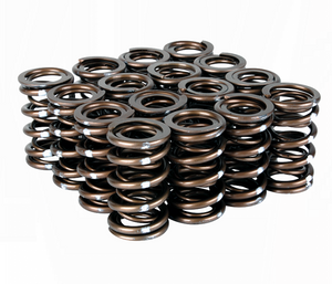 Skunk2 Pro XP Valve Spring Set (Dual Springs) B-Series VTEC – HA
