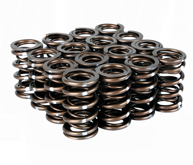 Skunk2 Pro XP Valve Spring Set (Dual Springs) B-Series VTEC