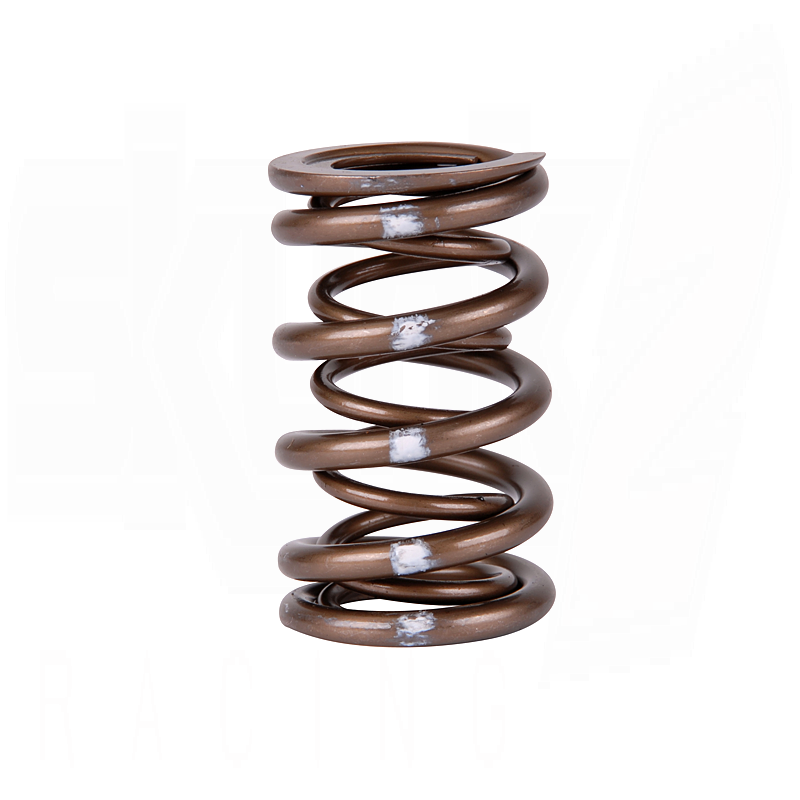 Skunk2 Pro XP Valve Spring Set (Dual Springs)  K-Series i-VTEC