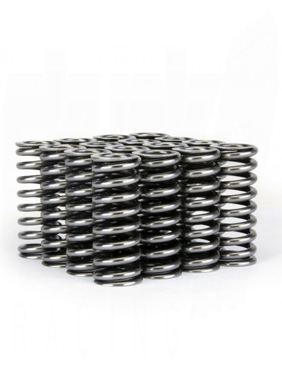 Skunk2 Alpha D Series VTEC Valve Spring Set