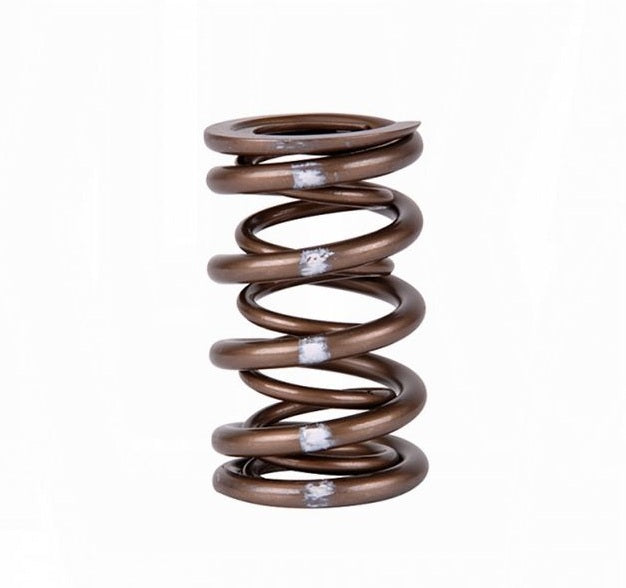 Skunk2 Pro XP Valve Spring Set (Dual Springs) B-Series VTEC