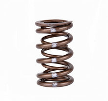 Load image into Gallery viewer, Skunk2 Pro XP Valve Spring Set (Dual Springs) B-Series VTEC