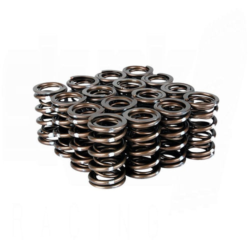 Skunk2 Pro XP Valve Spring Set (Dual Springs)  K-Series i-VTEC