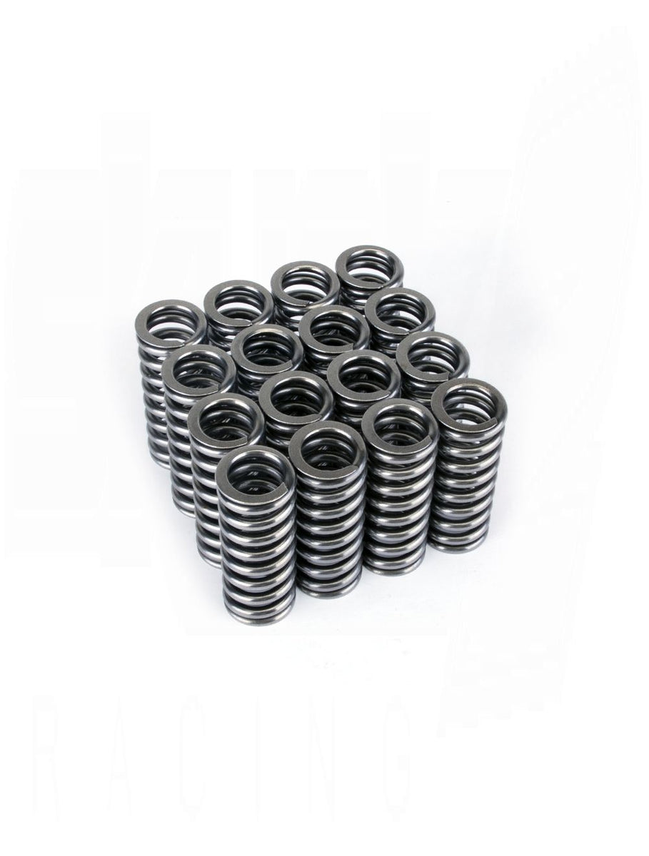 Vtec Rocker Arm Spring Skunk2 Alpha D Series VTEC Valve Spring Set – HA Motorsports