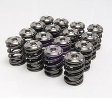 Load image into Gallery viewer, Skunk2 Alpha Valve Spring and Titanium Retainer Kit B Series VTEC