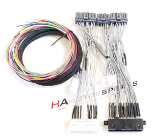 OBD0 DPFI to OBD1 ECU Jumper Harness - Manual Transmission - HA Motorsports