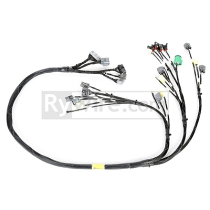 Rywire OBD1 D/B Series Budget Tucked Engine Harness
